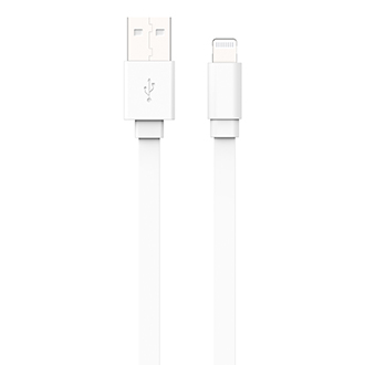 Flat Lightning Cable